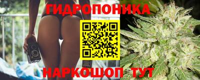 гашик Бугуруслан