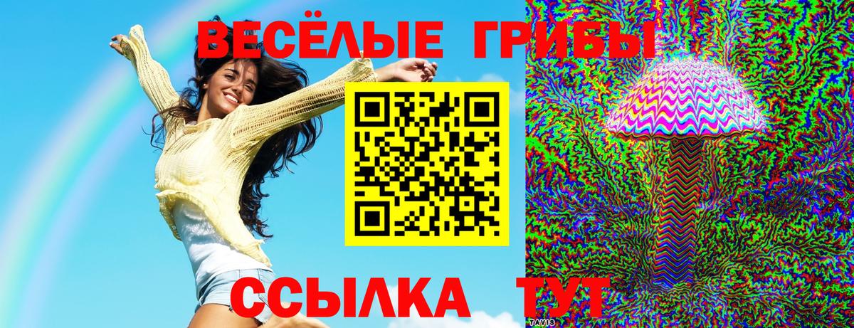 Псилоцибиновые грибы GOLDEN TEACHER  Вход с VPN  Галлюциногенные грибы MAGIC MUSHROOMS  Ртищево 